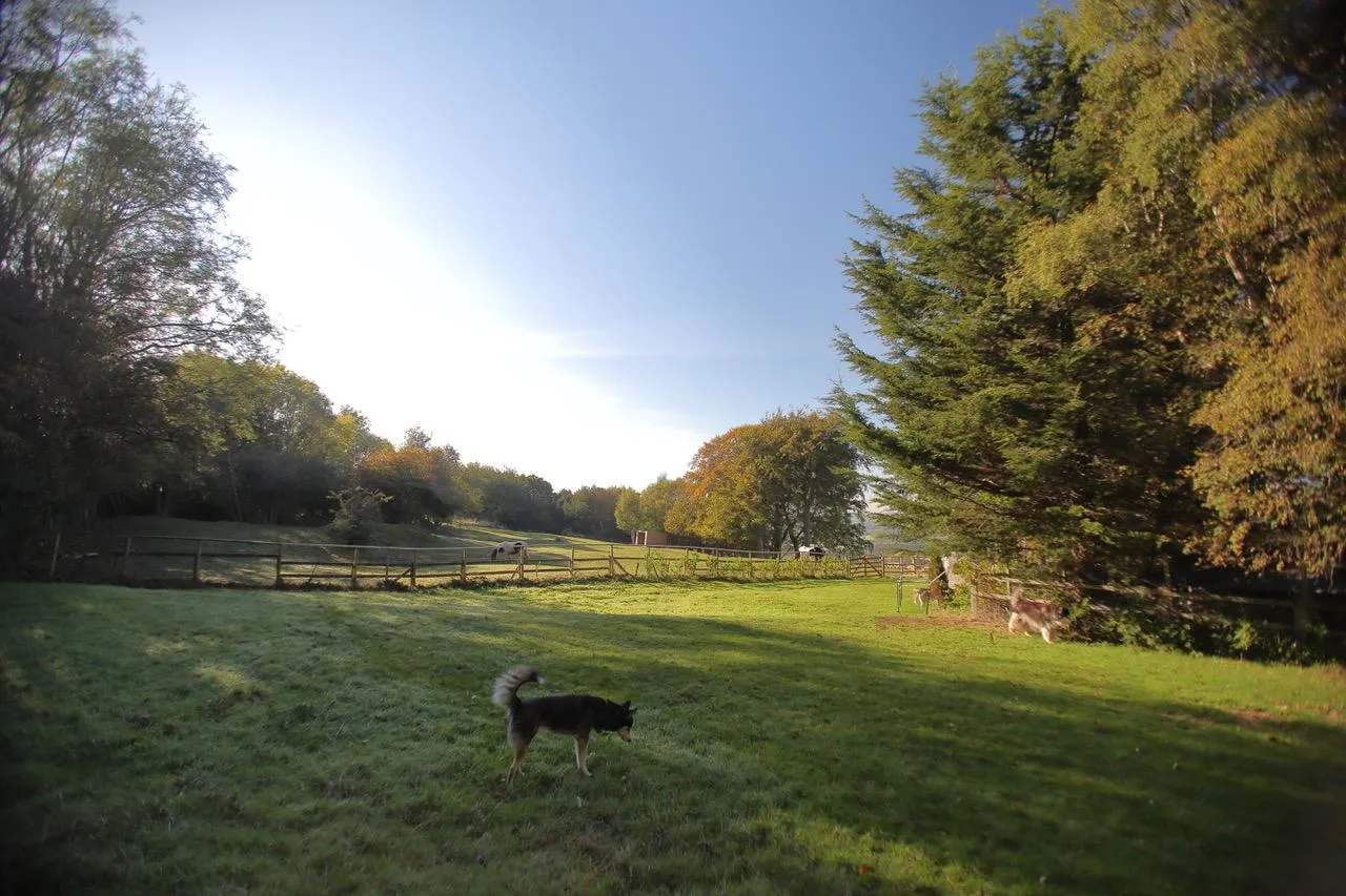 Burnopfield, Newcastle Upon Tyne, NE16, photo 16