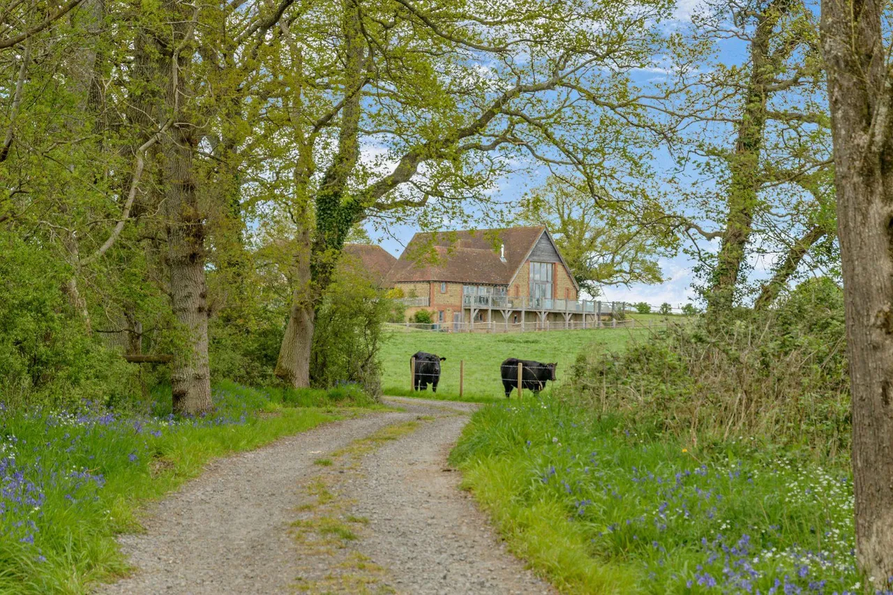 Wisborough Green, Billingshurst, RH14, photo 17