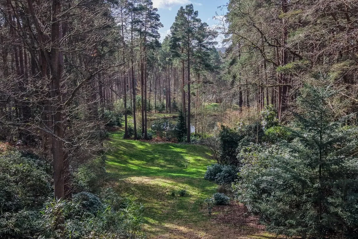 West Drive, Wentworth, GU25, photo 19