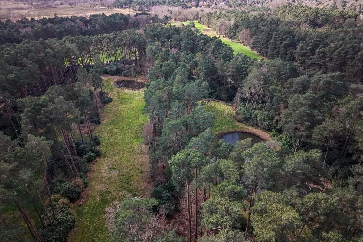 West Drive, Wentworth, GU25, photo 18