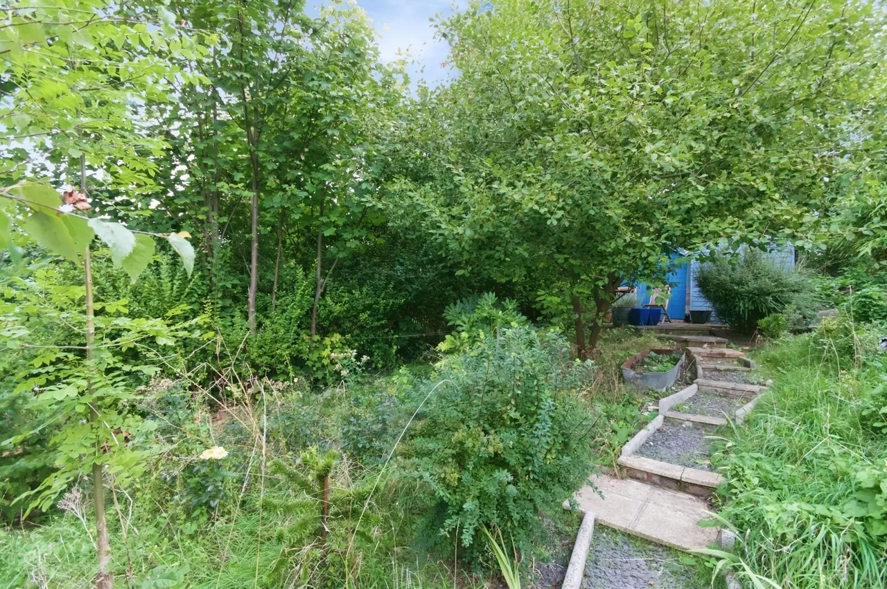 The Avenue, Brighton, BN2, photo 11
