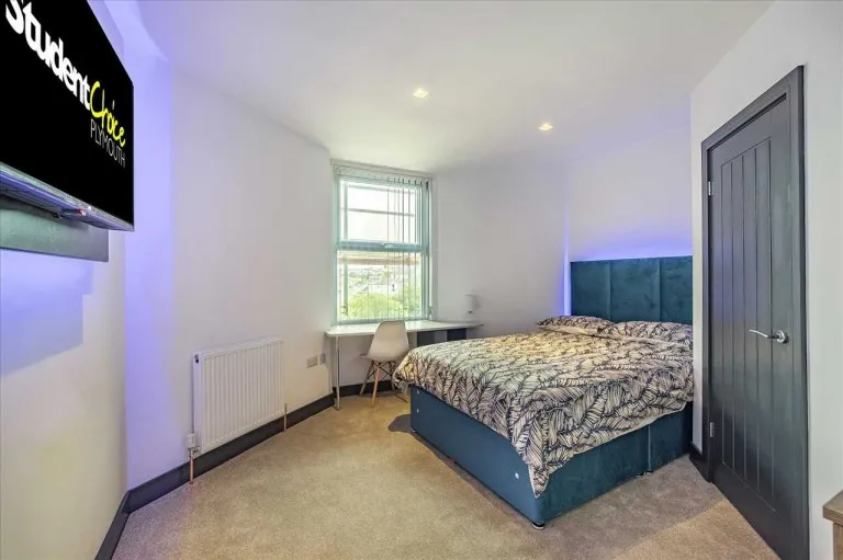 North Road East, Plymouth, PL4, photo 8
