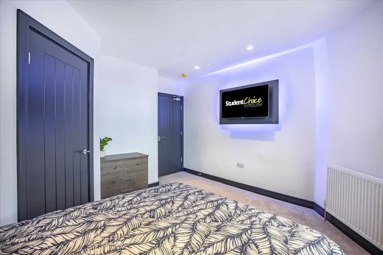 North Road East, Plymouth, PL4, photo 9