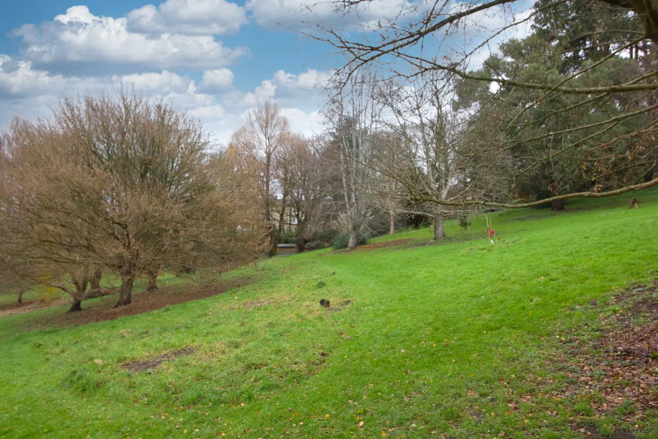 Lansdown Road, Bath, BA1, photo 42