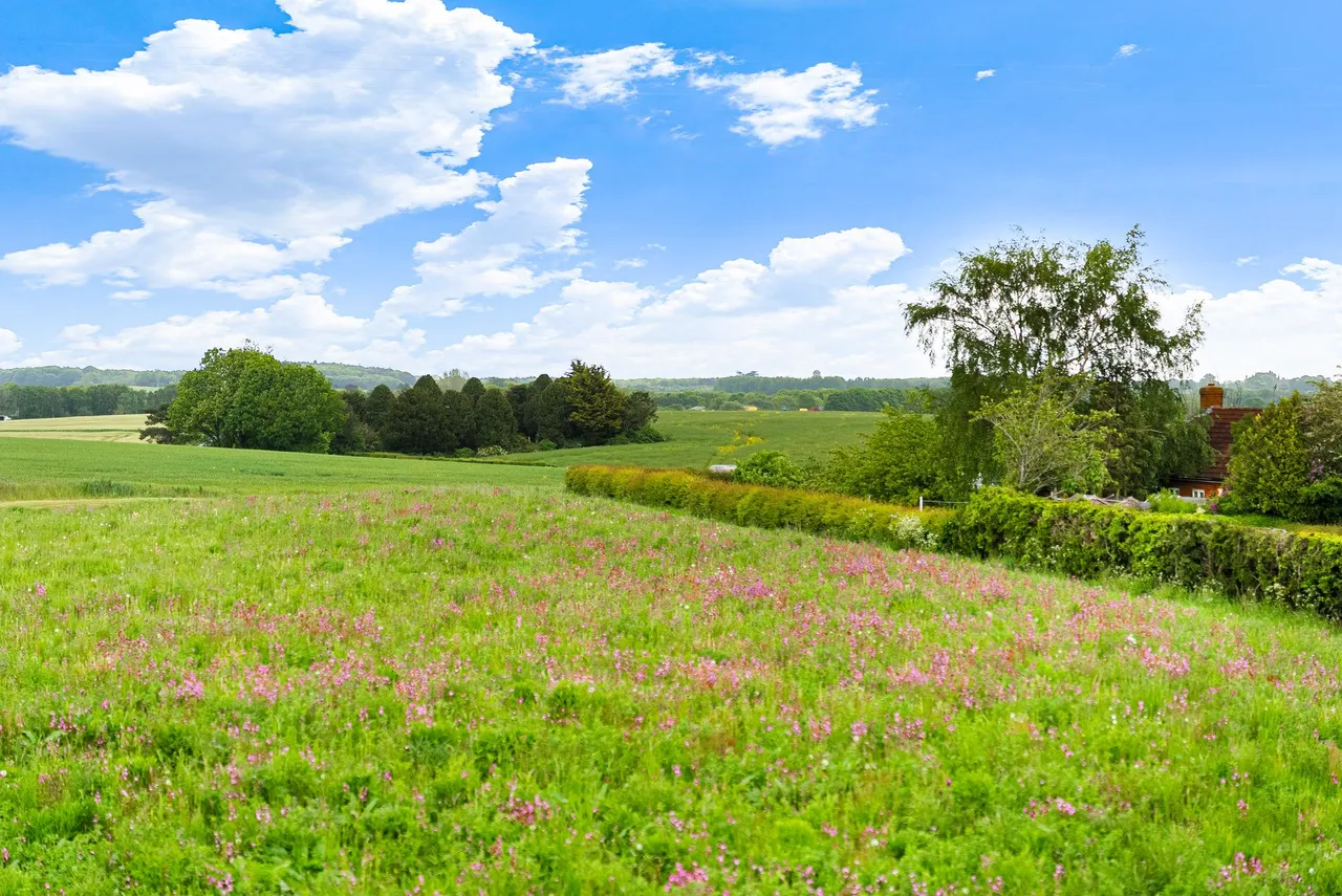 Pasture View Station Road, Goldsborough, HG5, photo 30