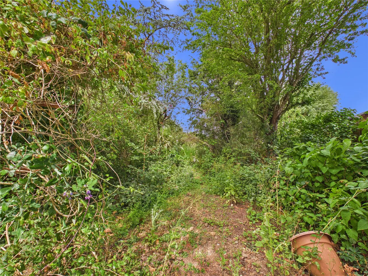 Mersea Road, Langenhoe, CO5, photo 11