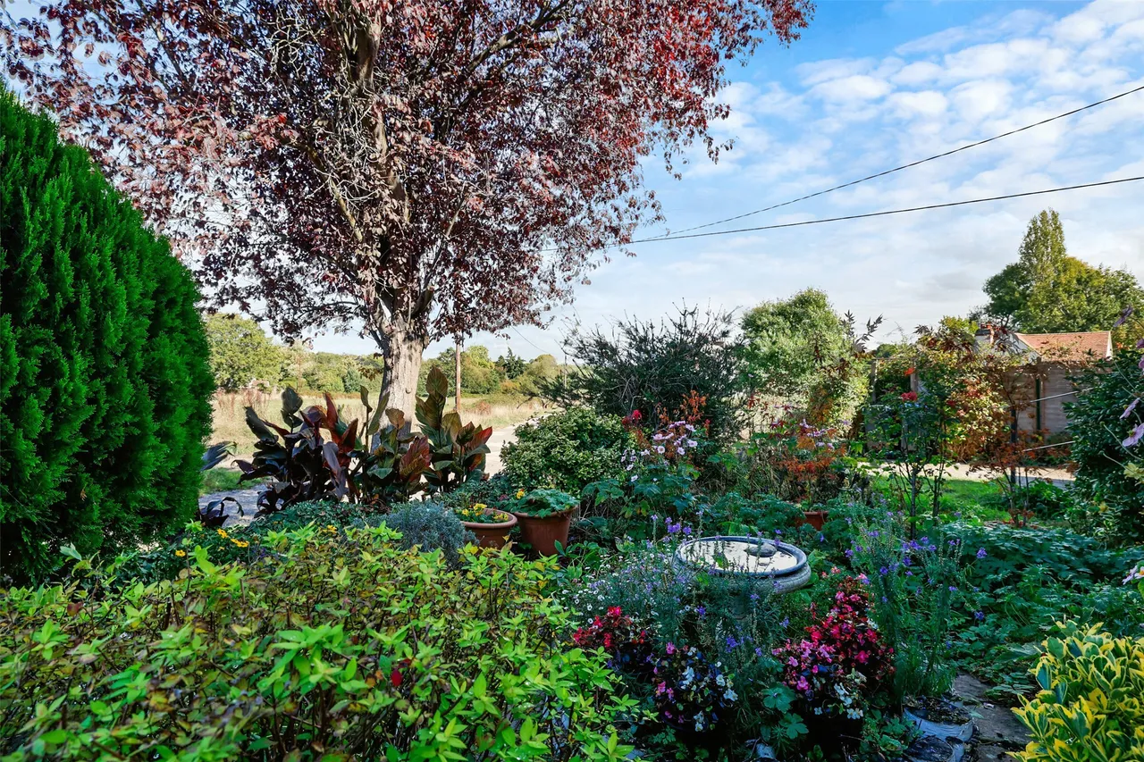 Norfolk Lane, Mid Holmwood, RH5, photo 19