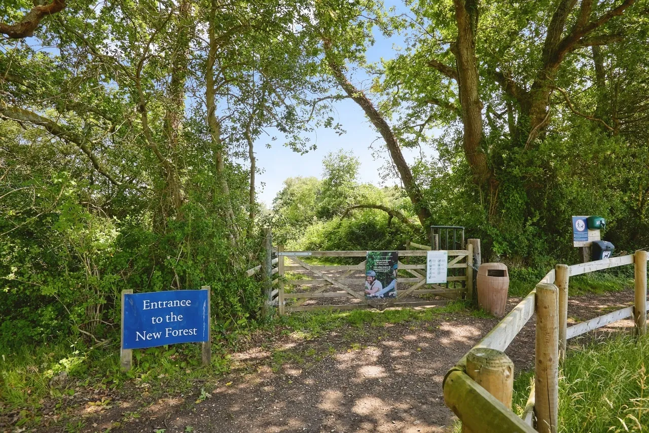 New Road, Landford, SP5, photo 19
