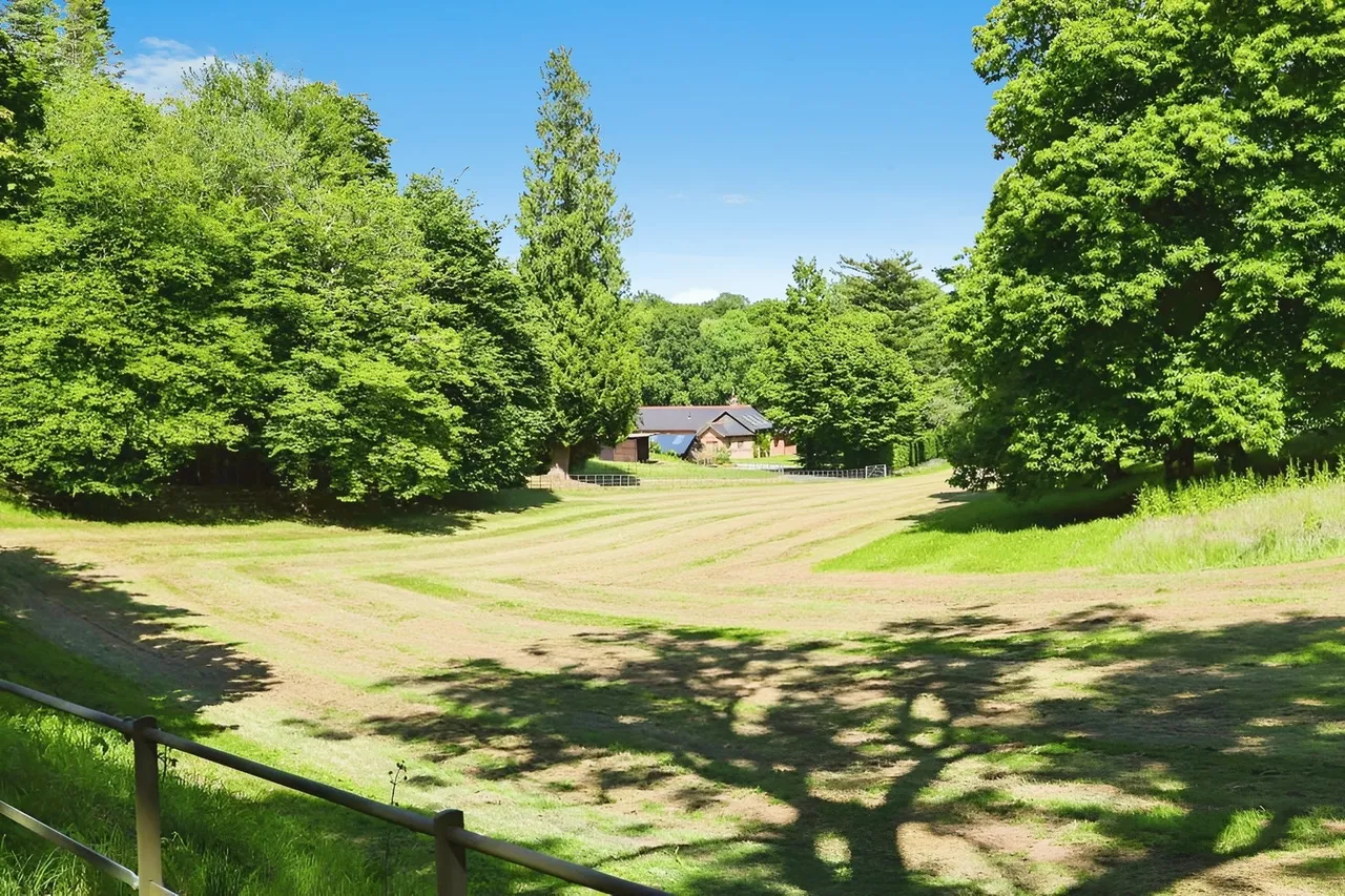 Ranmore Common, Dorking, RH5, photo 31