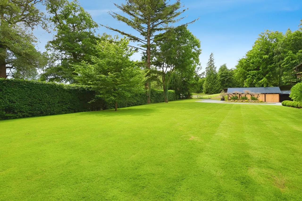 Ranmore Common, Dorking, RH5, photo 30
