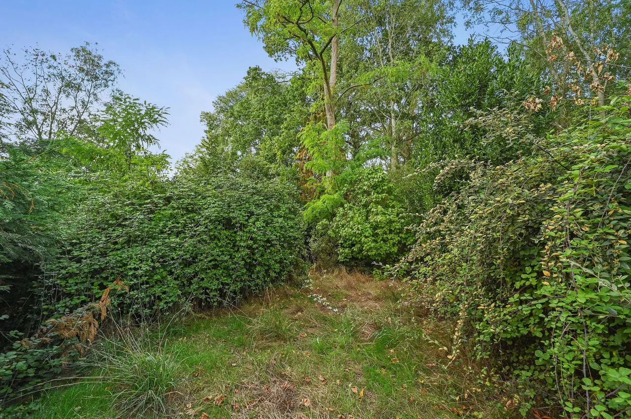 Newbridge Hill, West Bergholt, photo 33