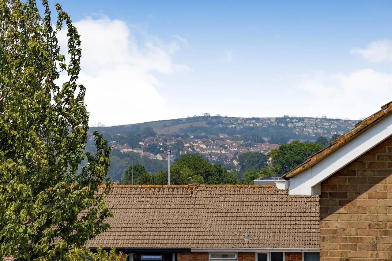 Diptford Close, Paignton, TQ4, photo 22