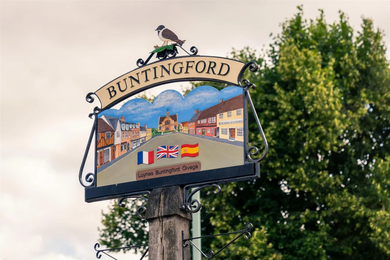 Seymour Road, Buntingford, SG9, photo 13