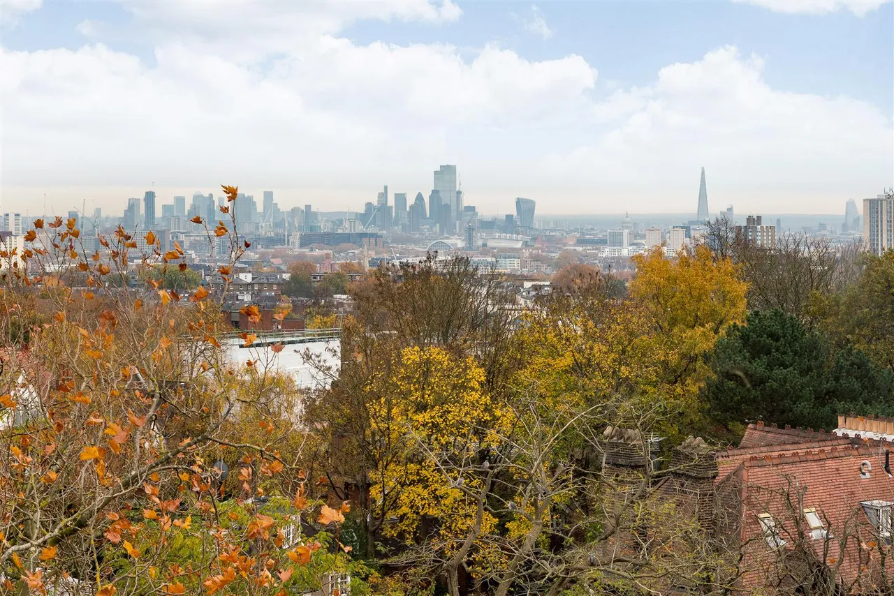 Fitzjohn's Avenue, Hampstead, NW3, photo 6