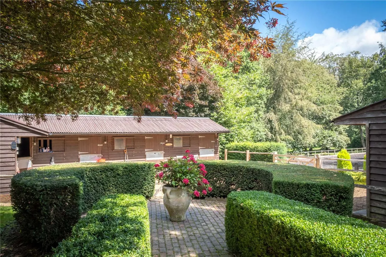 Lodkin Hill, Hascombe, GU8, photo 24