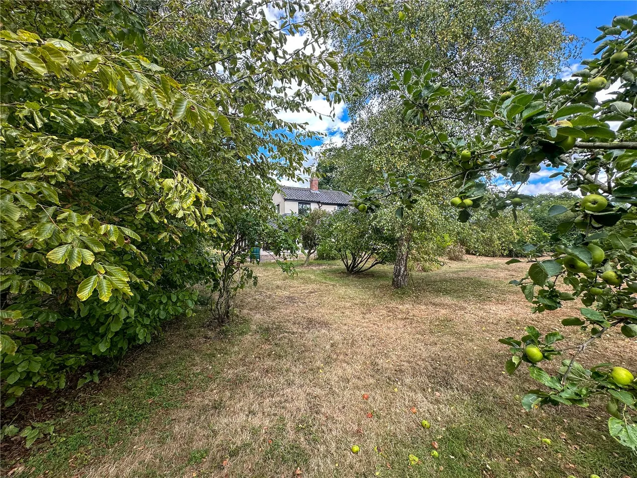 Burgate Lane, Alpington, Norwich, NR14, photo 9