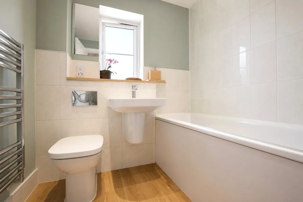 Sanderling Close, Barnstaple, EX32, photo 8