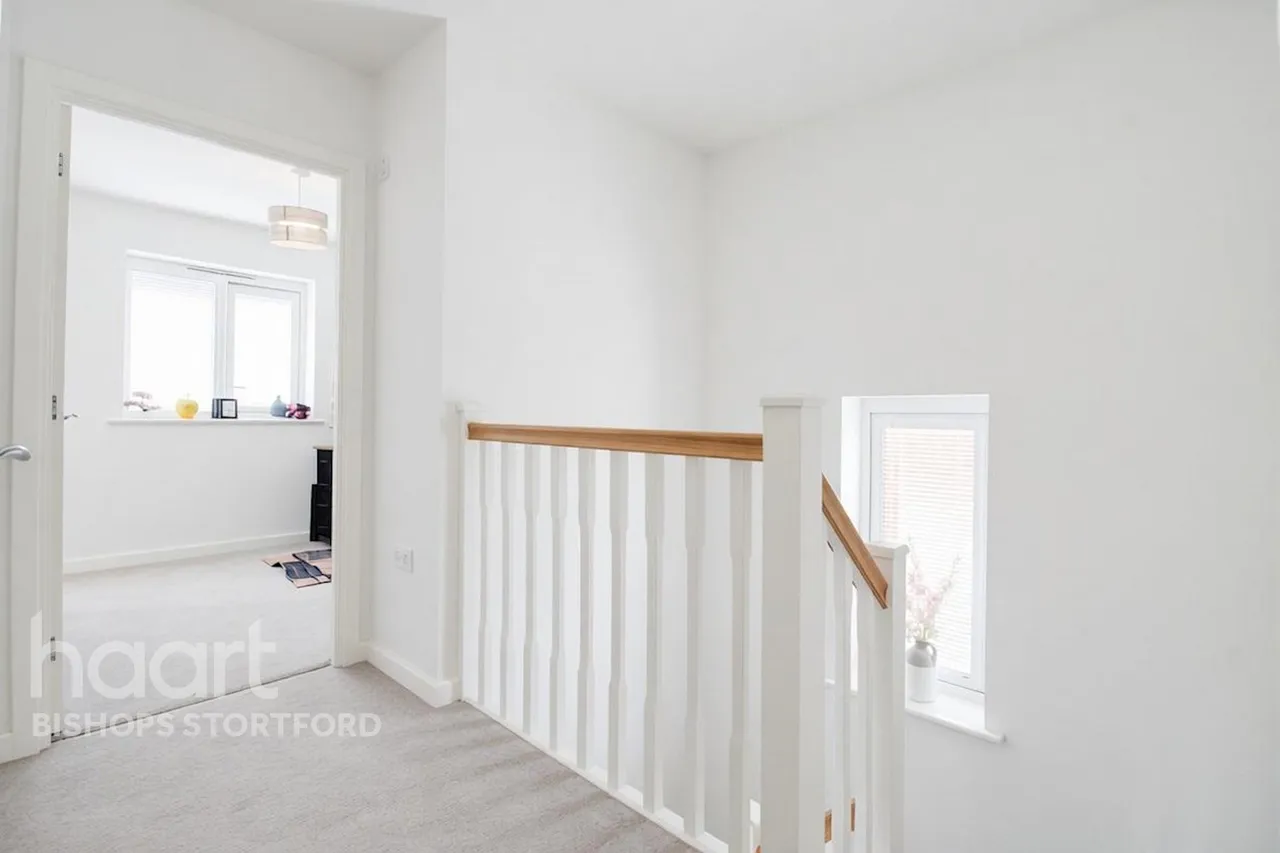 Bluebell Walk, Bishop's Stortford, CM22, photo 14