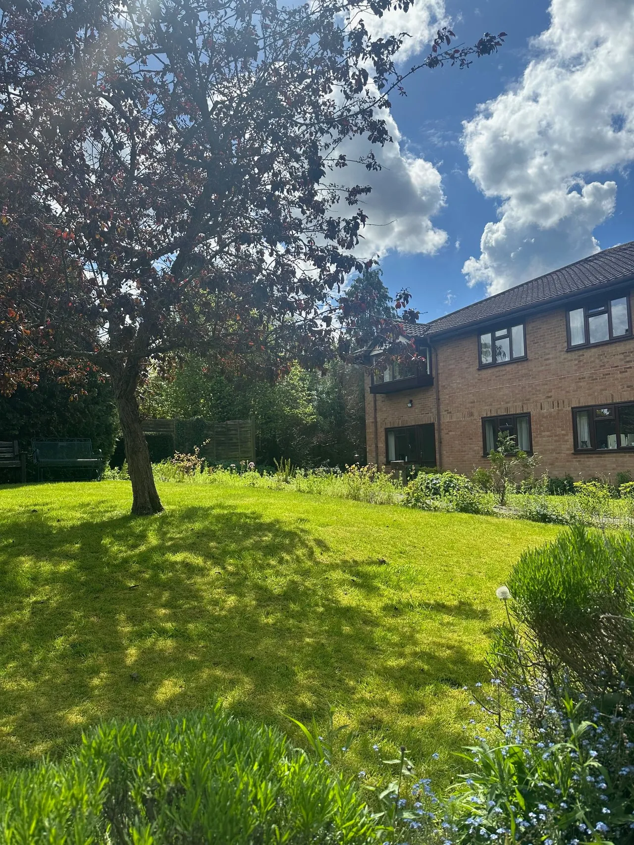 Forge Close, Bromley, BR2 7LP, photo 6