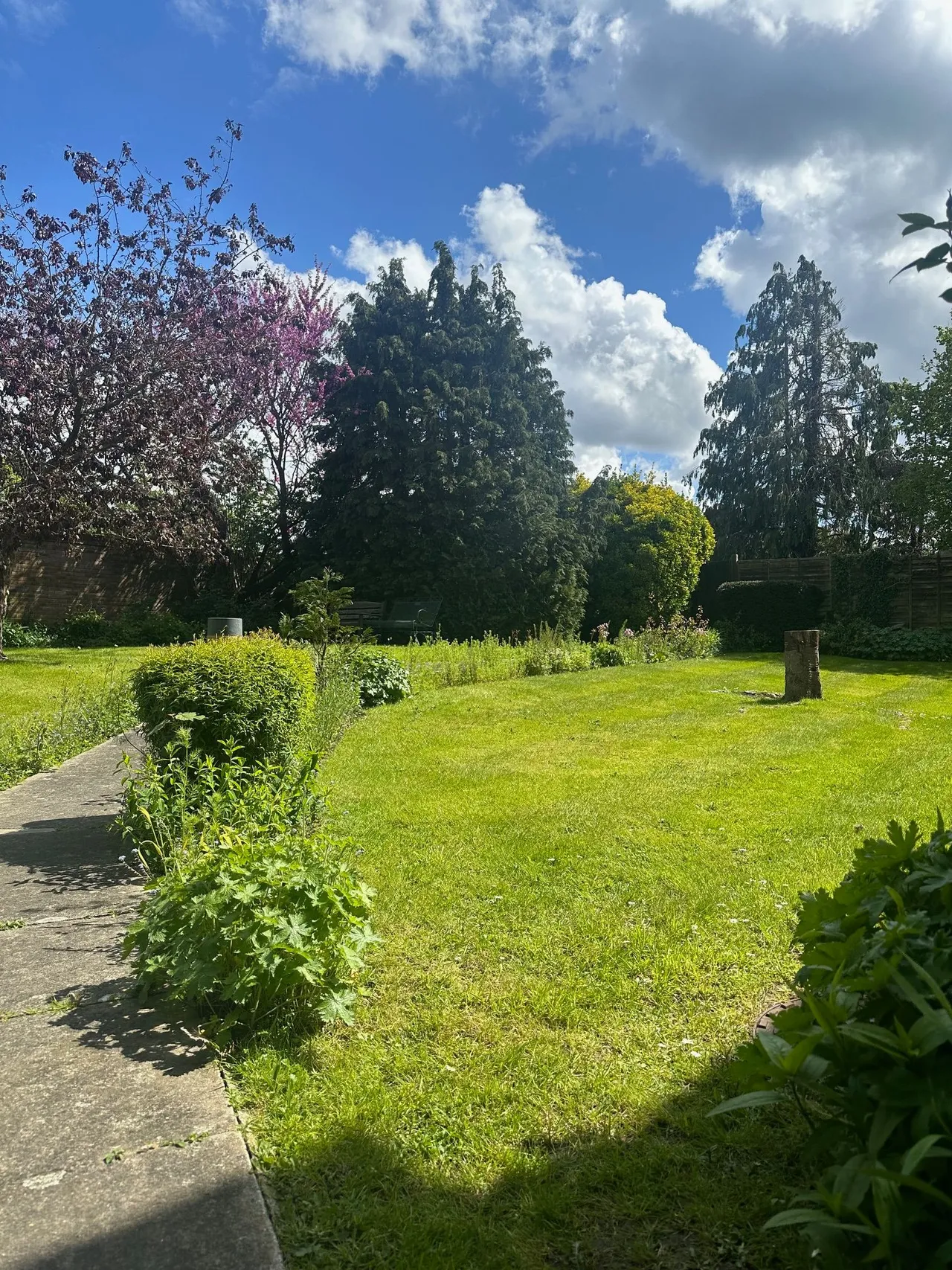 Forge Close, Bromley, BR2 7LP, photo 5