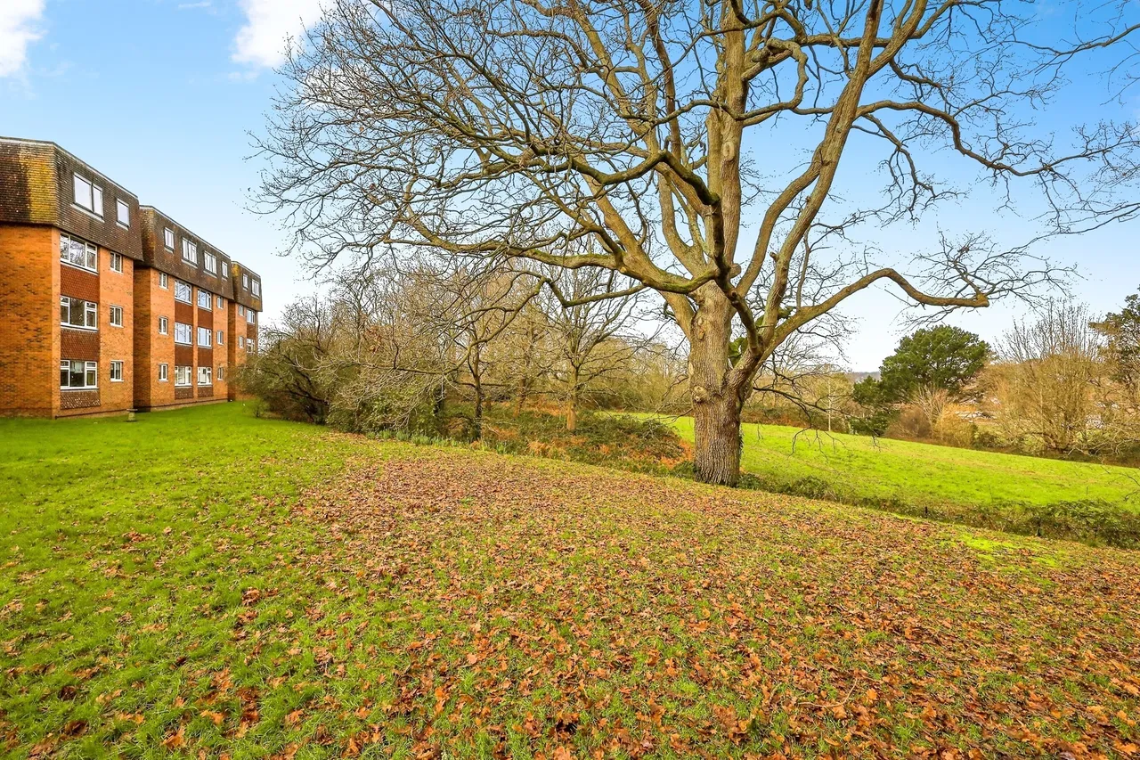 Broad Oak Coppice, Bexhill-On-Sea, TN39, photo 12