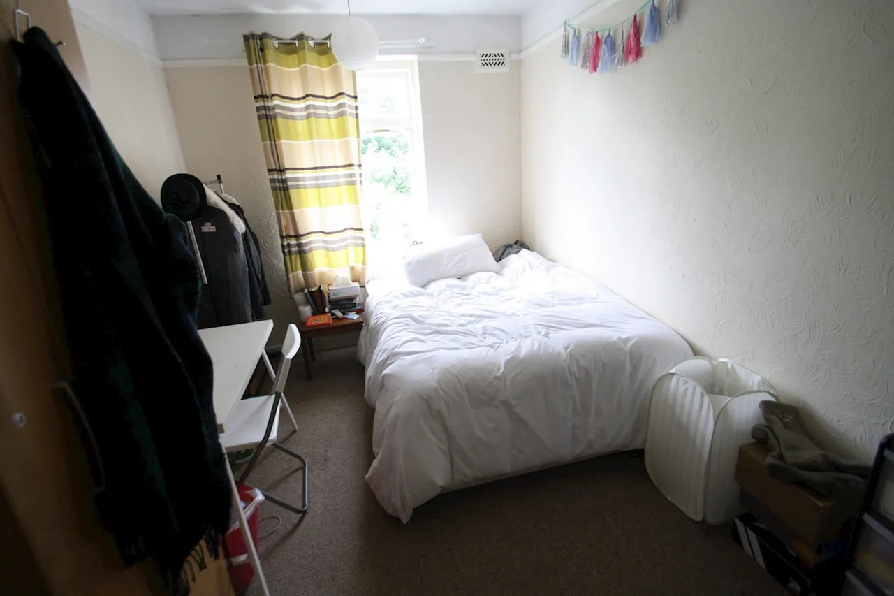 Gilbard Road, Near The University, NR5, photo 10
