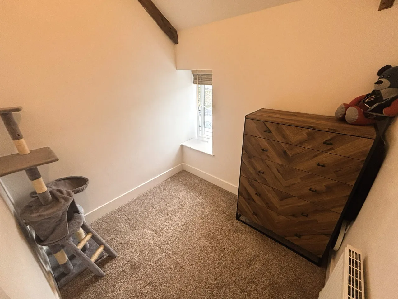 Cornwall Street, Bere Alston, PL20, photo 8