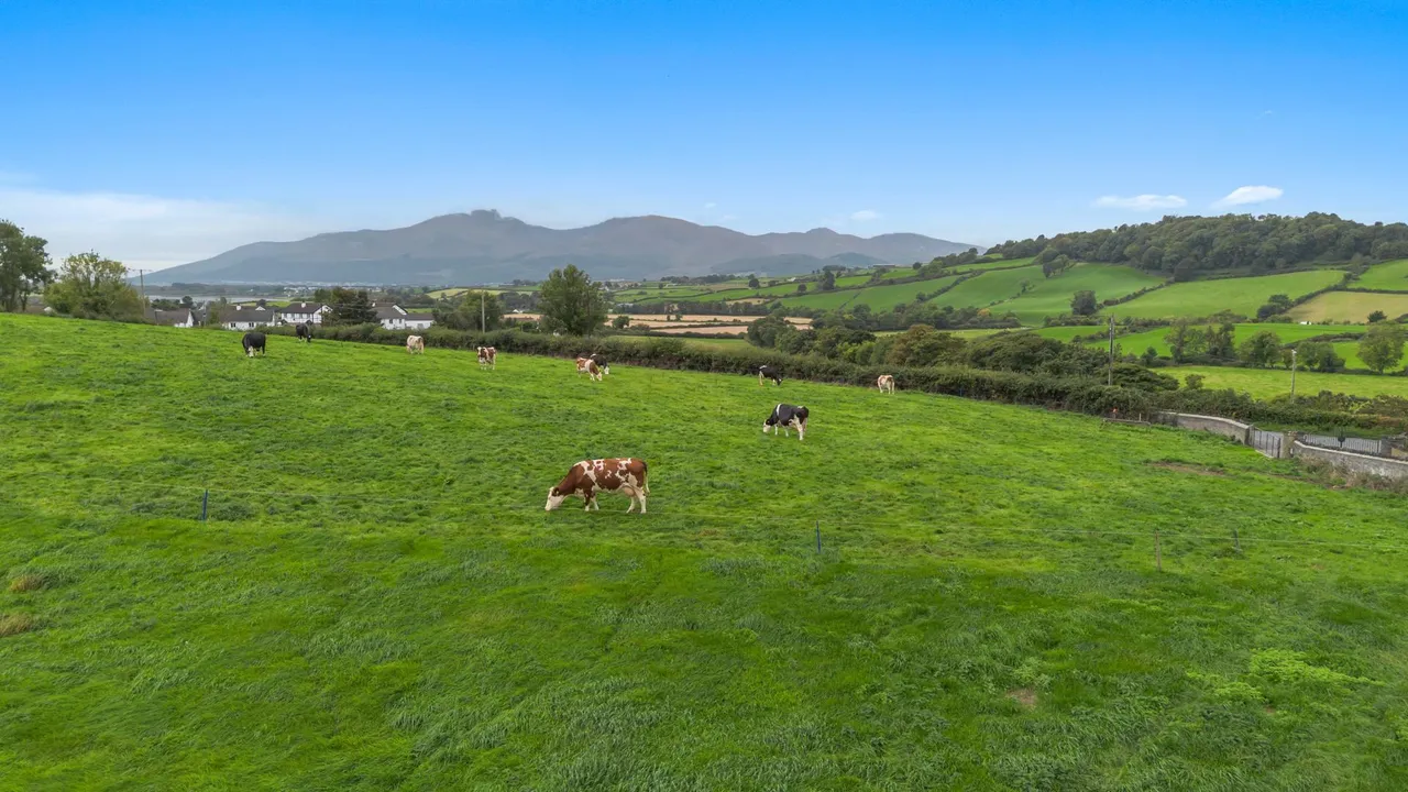 Dromara Road, Dundrum, BT33, photo 50