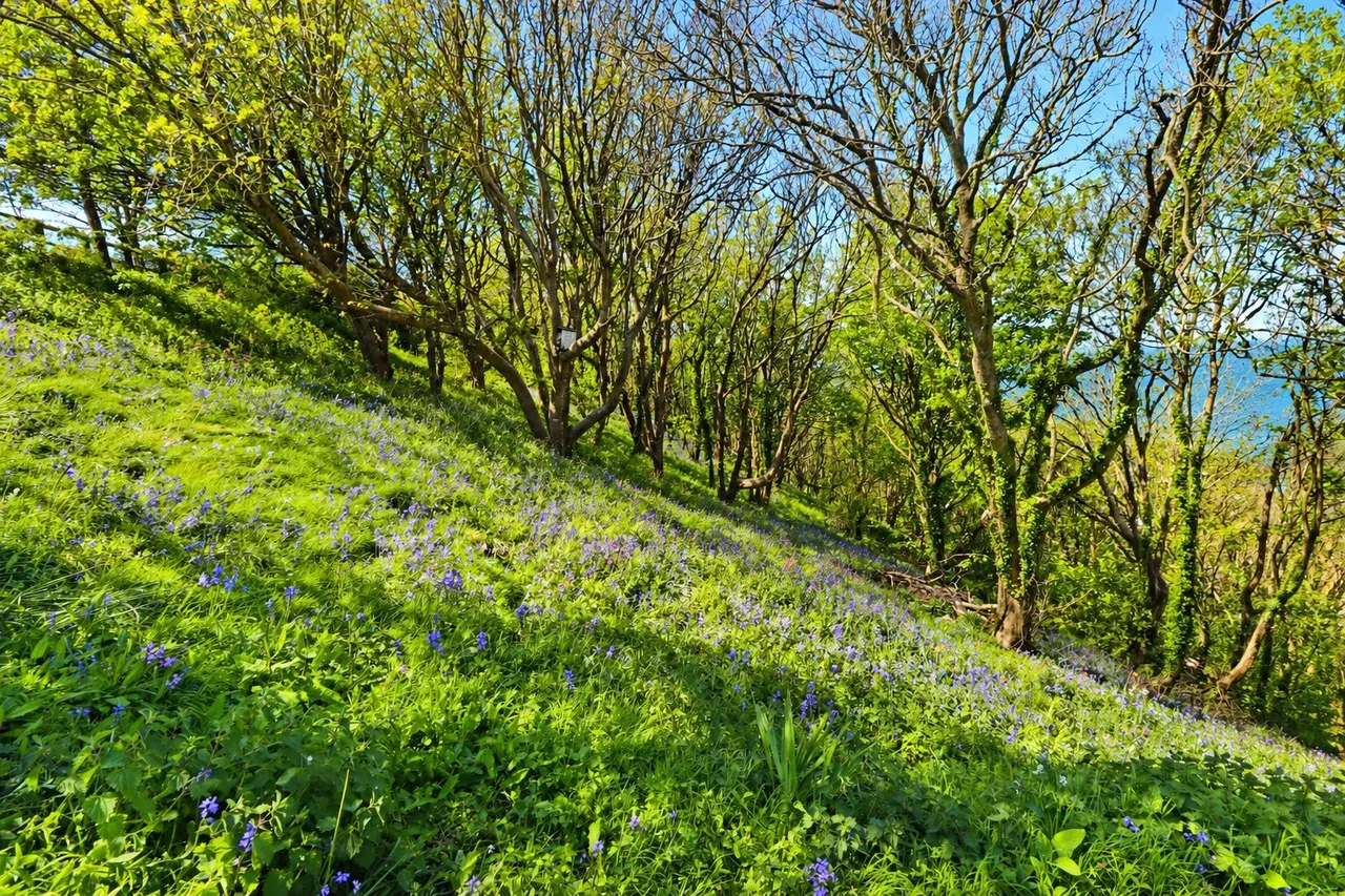 Chichester Way, Westward Ho, EX39, photo 30