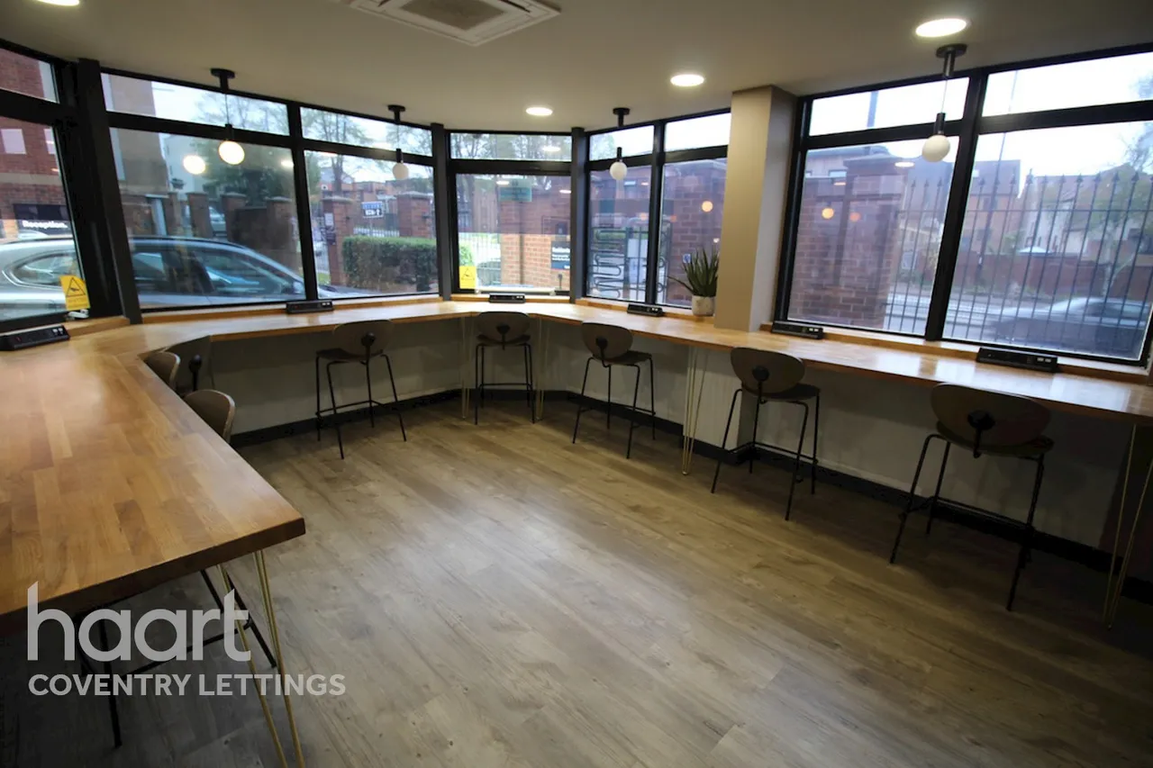 Sky blue point, CV1, photo 13