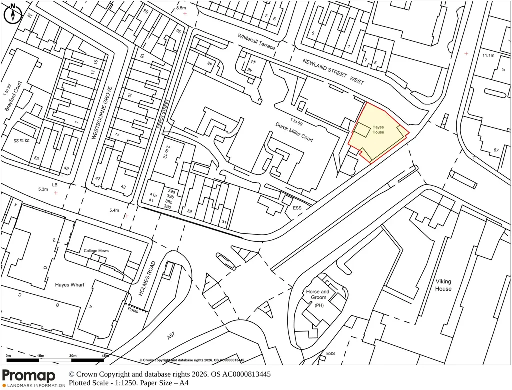 Carholme Road, Lincoln, LN1, photo 17