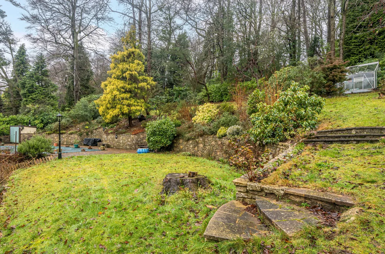 Stoatley Rise, Haslemere, GU27, photo 22