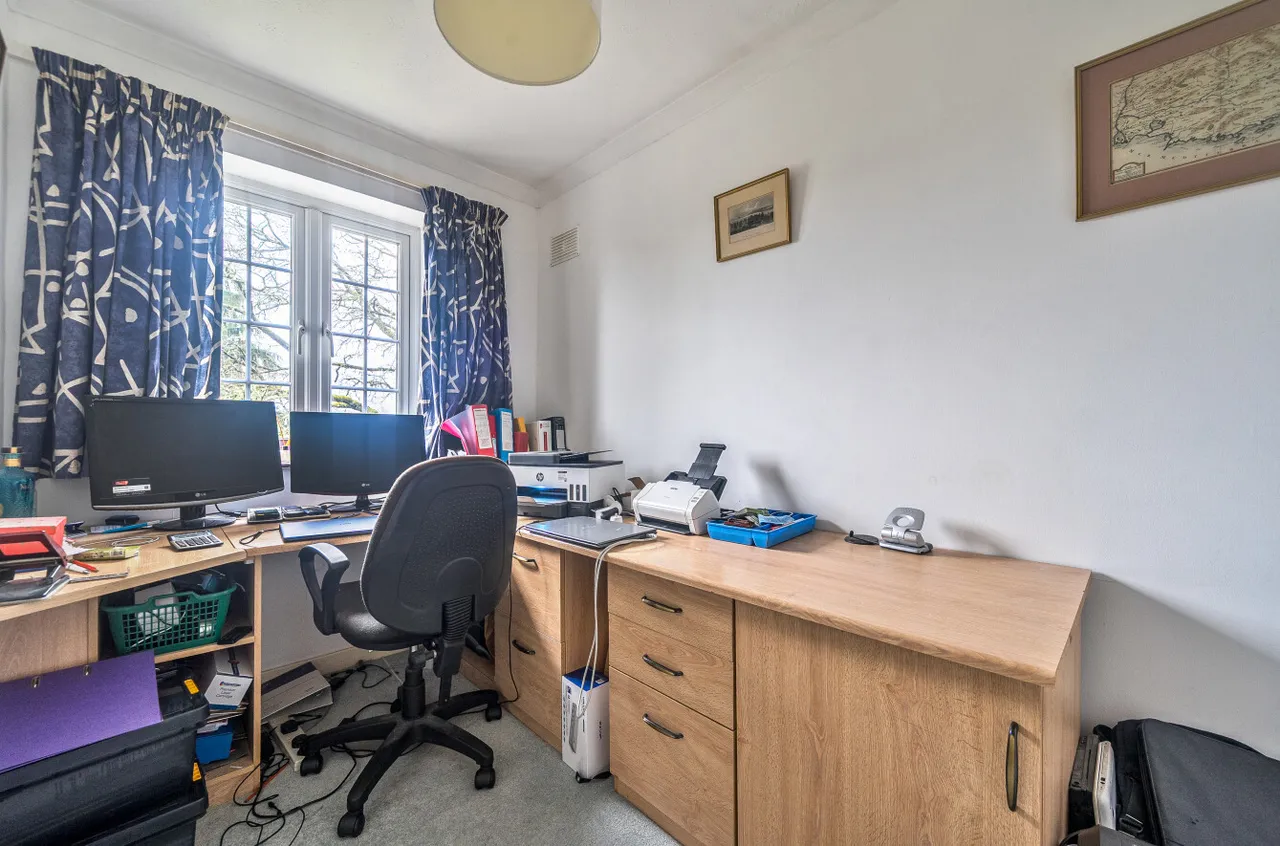 Stoatley Rise, Haslemere, GU27, photo 18