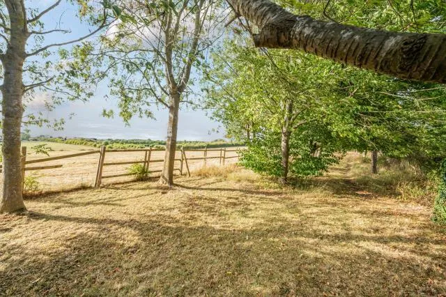 Hoyle Close, Witney, OX28, photo 16