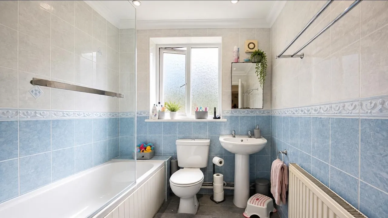 Austin Crescent, Plymouth, PL6, photo 7
