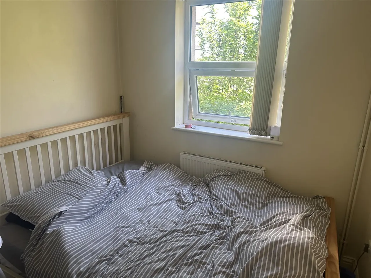 Terrace Road, Maidstone, photo 3