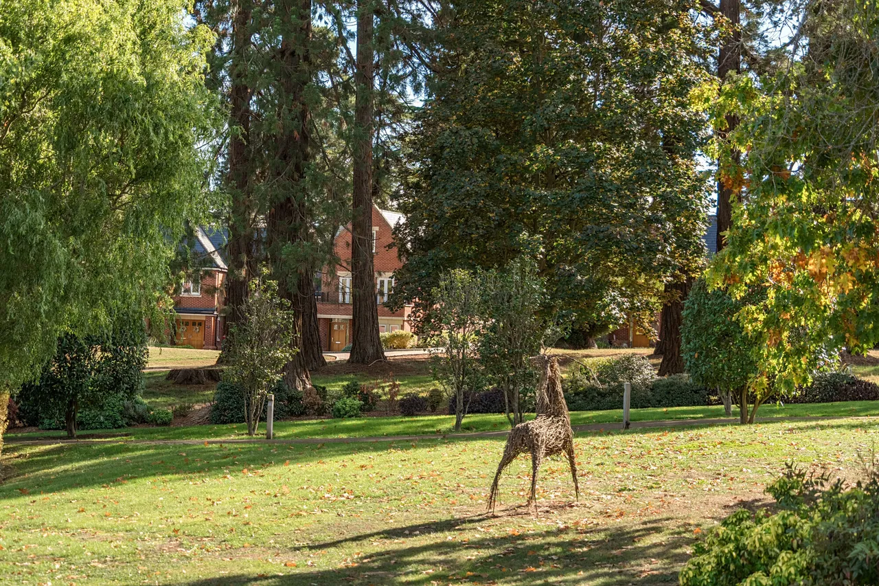Butterwick Way, Welwyn, AL6, photo 17