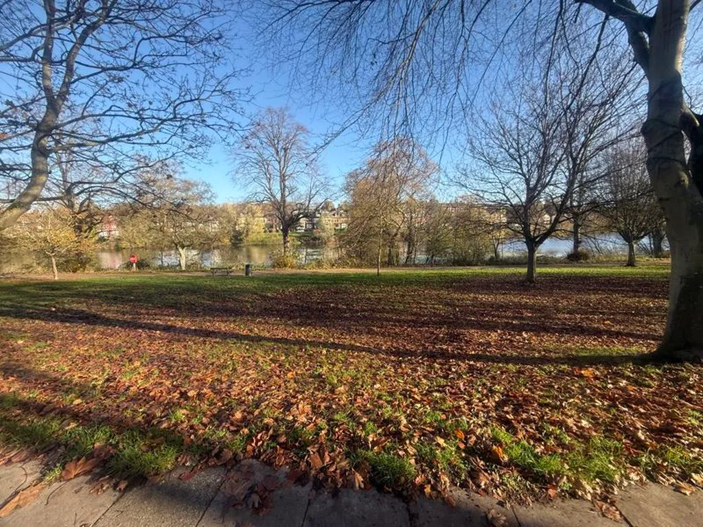Lakeside Walk, Erdington, B23, photo 11