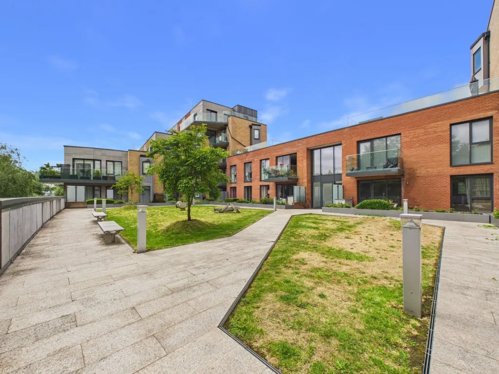 Berkeley Avenue, Reading, RG1, photo 18