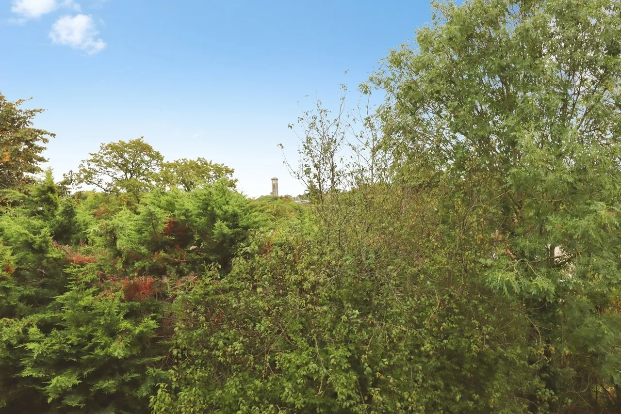 Duchess Way, Bristol, BS16, photo 15