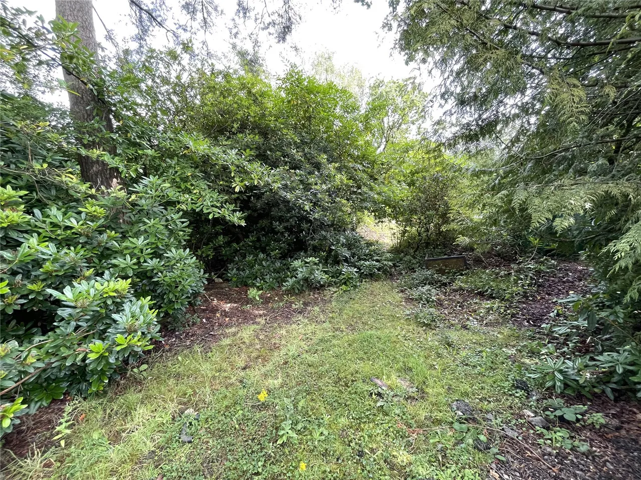 Blissford, Fordingbridge, Hampshire, SP6 2JQ, photo 5