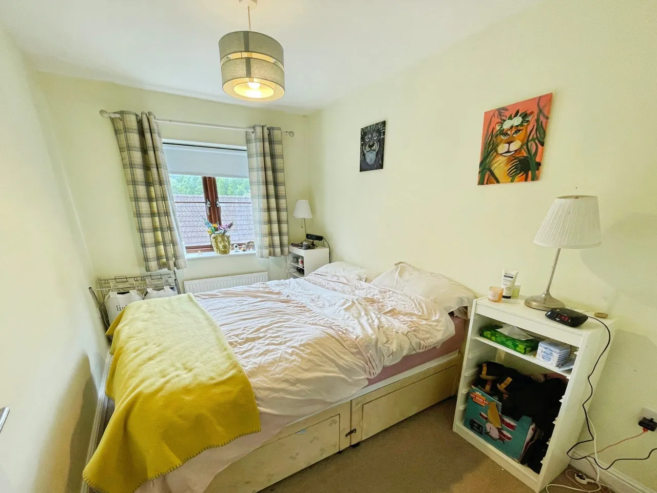 Highpath Mews, Basingstoke, Basingstoke, RG24 9GT, photo 12