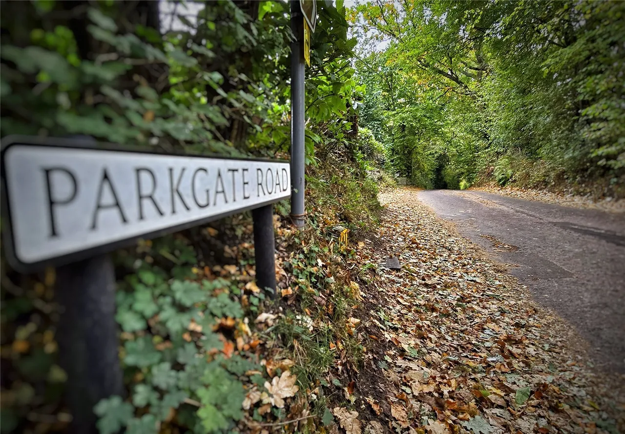 Parkgate Road, Orpington, Kent, BR6, photo 29