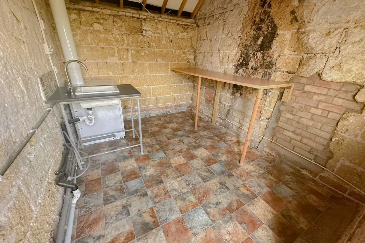 Necton, photo 11