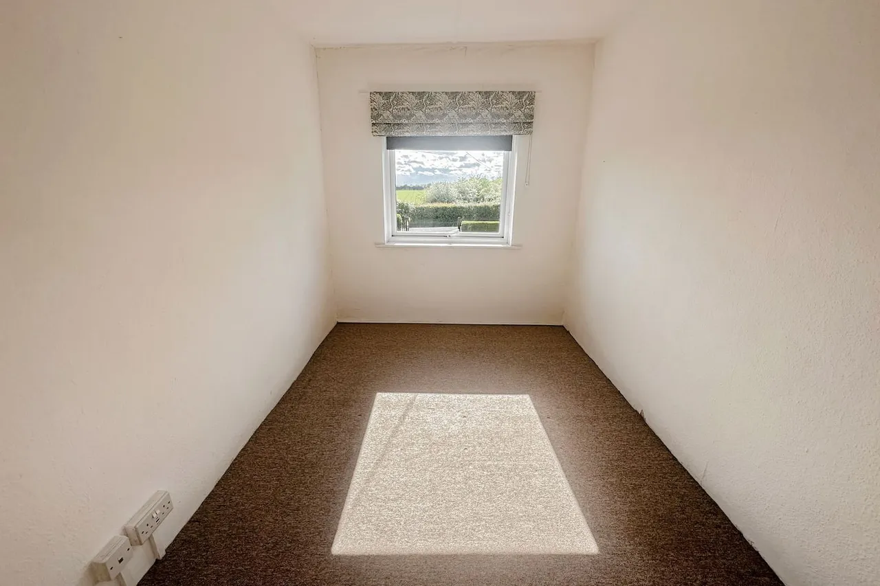 Necton, photo 8