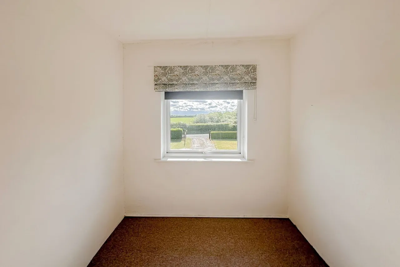 Necton, photo 7