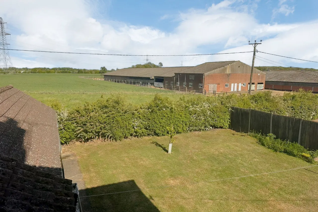 Necton, photo 12
