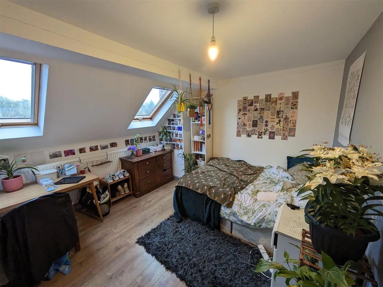 Sheringham Road, Fallowfield, M14, photo 14