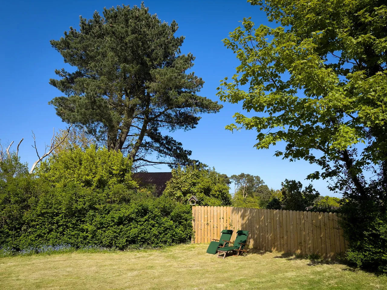 Craigdarragh Road, helens bay, BT19, photo 70