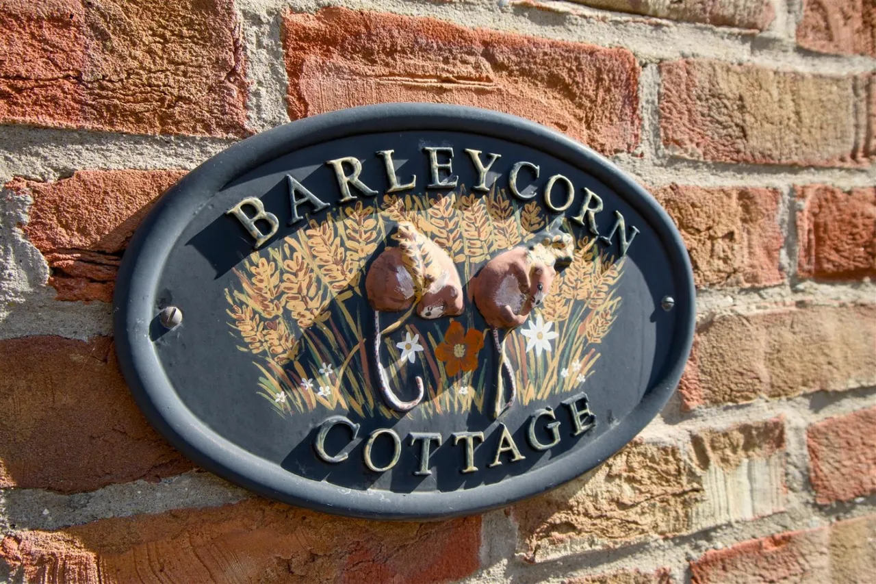 Back Lane, Easingwold, York, photo 4
